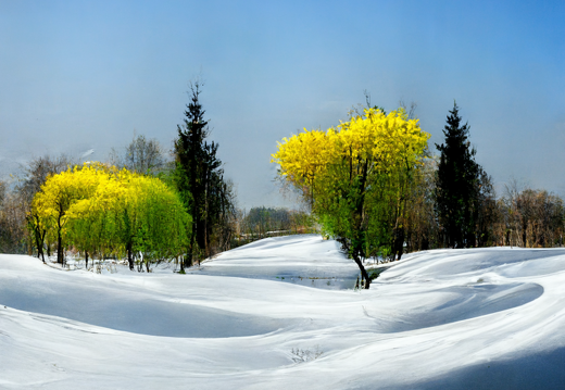 Frühling und Winter